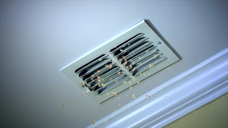 Ventilation Cleaning Services in Woodson Terrace, MO